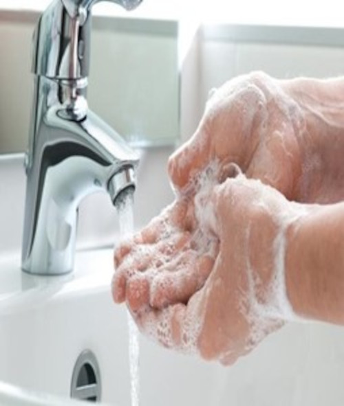 Svetski dan čistih ruku
